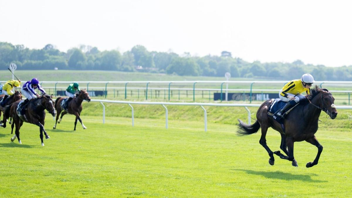 Lingfield Derby Trial 